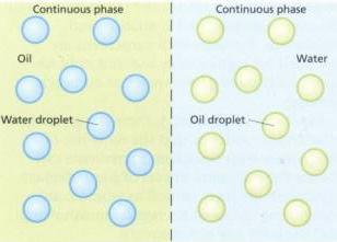 Emulsificação direta Nanoemulsões Wash-out