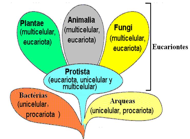 Domínios: