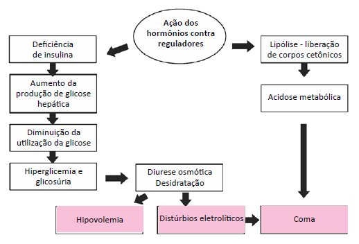 O quadro de cetoacidose diabética, mostrado acima, pode desencadear complicações como choque, distúrbios hidroeletrolíticos, insuficiência renal, síndrome de angústia respiratória do adulto e edema