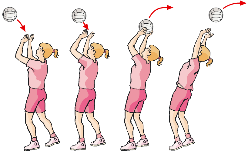 Elementos tático-técnicos Passe alto de costas (em apoio) Exigências técnicas: Tocar a bola com as «pontas» dos dedos em simultâneo, acima da cabeça, de modo a impulsionar a bola para trás.
