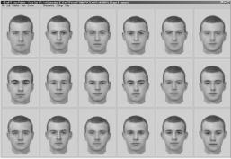 Fornecer população inicial (diversos tipos de faces) Testemunha identificou a face?