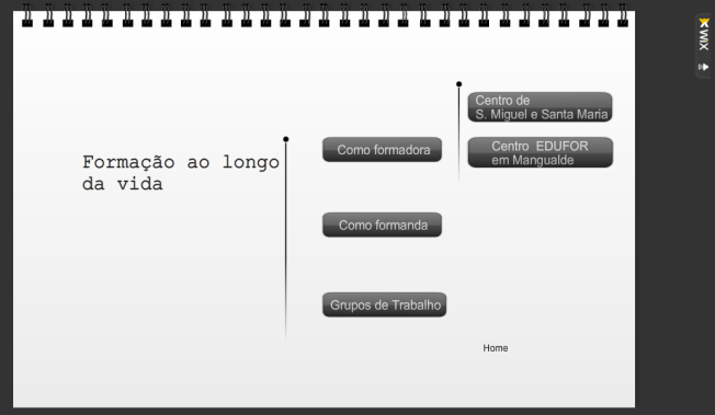 Coloca apenas o que considera relevante uma vez que tem tudo já em formato digital e online noutras plataformas de ensino.