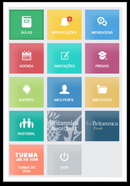 Painel de navegação O botão AULAS é utilizado para visualizar as aulas que foram disponibilizadas pelos professores da sua turma.