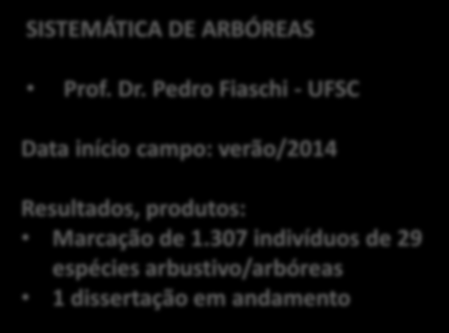 andamento Prof. Dr.