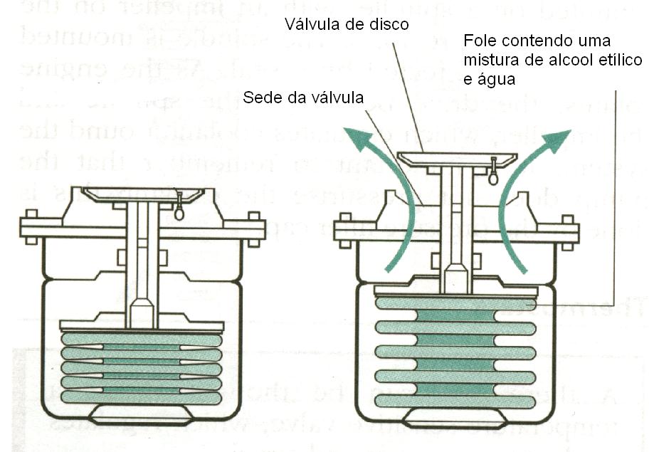 19.5.2 Sistema de circulação