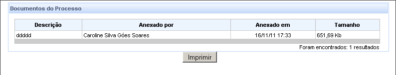 Uma vez excluída uma prioridade, ela poderá ser novamente incluída até que se protocole a inicial. 2.6. Processo. A aba Processo apresenta de forma resumida informações do processo.