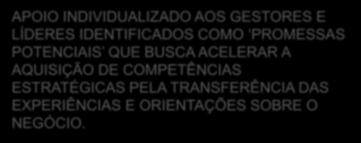 APOIO INDIVIDUALIZADO AOS GESTORES E LÍDERES IDENTIFICADOS COMO PROMESSAS POTENCIAIS QUE BUSCA ACELERAR A AQUISIÇÃO DE