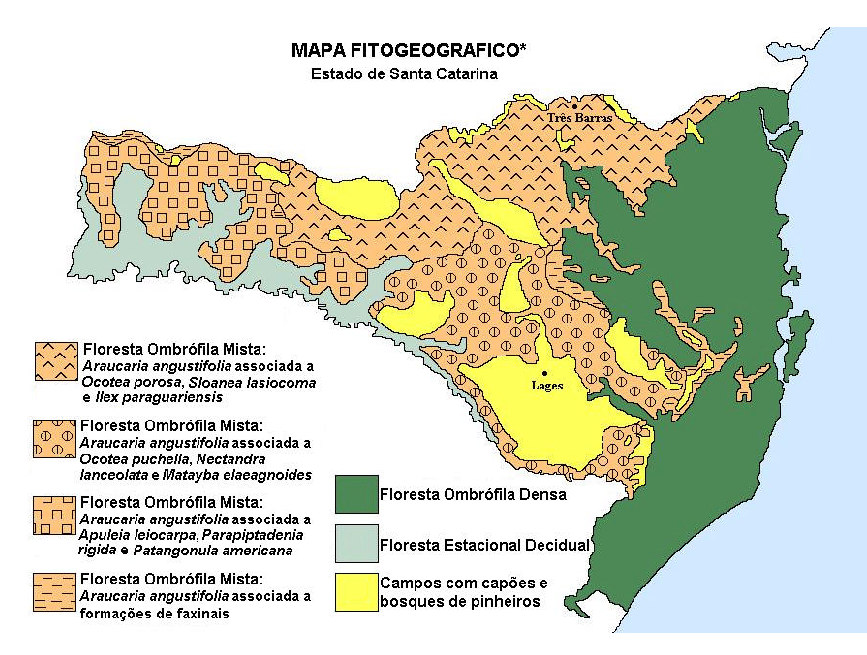 985 km 2 e está totalmente inserido no domínio da Mata Atlântica, incluindo diversas fisionomias florestais e ecossistemas associados, restando hoje o percentual de 17,46%, equivalente a 1.662.