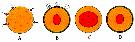 Biologia e Geologia 10º Ano 2. A Terra, um planeta muito especial TESTE DE AVALIAÇÃO (2) 1- A figura ilustra as diferentes etapas de evolução do planeta Terra. 1.1- Ordena cronologicamente as letras correspondentes às diferentes etapas, de modo a evidenciarem a sequência correcta da evolução do nosso planeta.