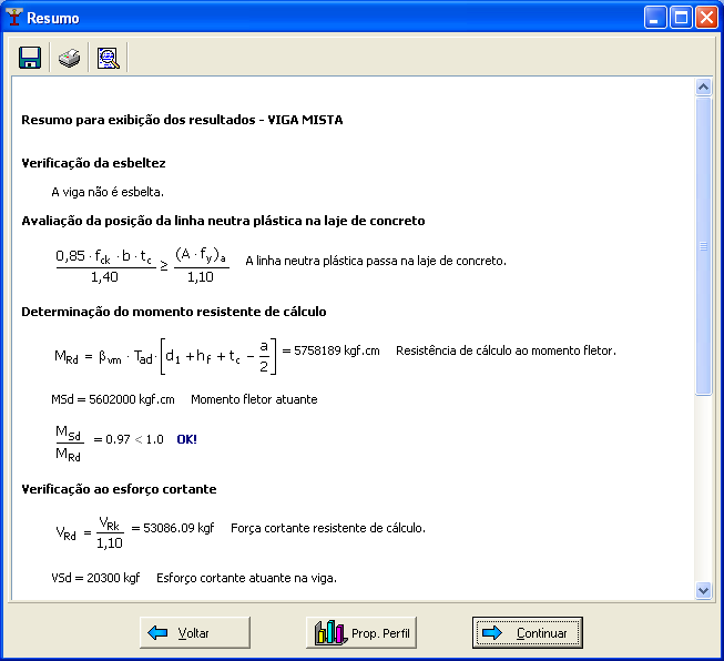 1.6.3. CARACTERÍSTICAS DO RELATÓRIO Após mandar verificar os dados da estrutura, abrirá uma janela com o resumo dos resultados das verificações feitas.