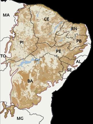 Introdução Caatinga Única região natural com limites inteiramente restritos ao território