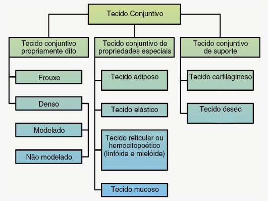 Tipos de