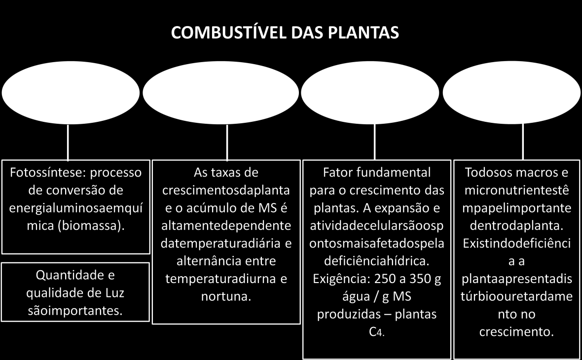 Elaboração: Reis Filho, 2012.