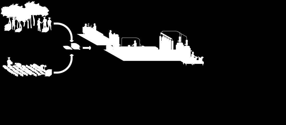 PROCESSO DE PRODUÇÃO Extrativismo Laboratório Rastreabilidade Fábrica Produtos Distribuição Cultivo Óleos