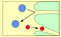 Princípios físico-químicos básicos de separação PERMEAÇÃO: as moléculas são separadas por tamanho, havendo retenção das maiores.