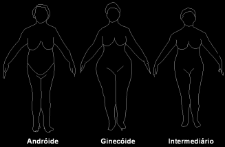 Distribuição de gordura corporal Importância Tipos de distribuição de gordura Andróide, abdominal, superior ou central Ginóide, inferior, periférica ou gluteofemoral Padrões de distribuição de