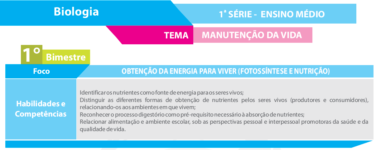 1º FORMAÇÃO DE PROFESSORES 2015 Nutrientes Quando falamos em nutrição, podemos defini-la como processos que vão desde a ingestão dos alimentos até à sua absorção pelo nosso organismo.