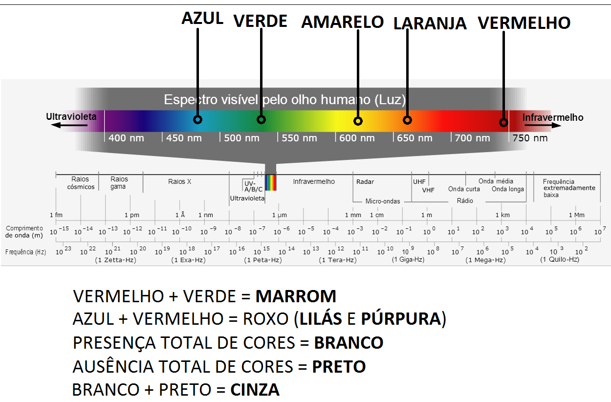 ORIGEM E IMPORTÂNCIA DA