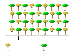 Recobrimento Diversidade Figura 1: Exemplo ilustrativo do esquema de plantio.