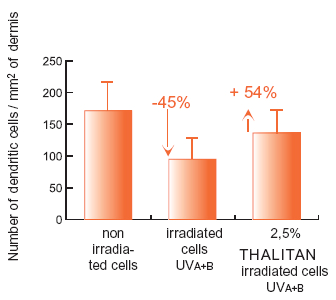 Thalitan foi testada a 2,5% na superfície de uma cultura de pele humana irradiada com doses UVA de 1J/cm 2 e doses de UVB com 1J/cm 2.