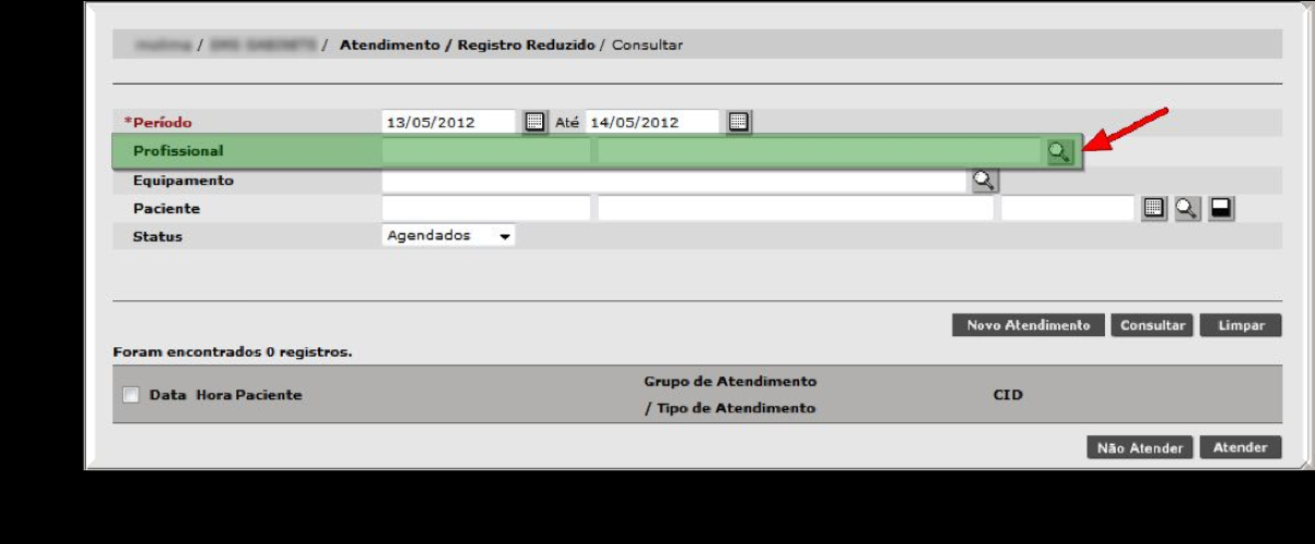 O sistema retornará para a tela inicial de pesquisa com o nome do profissional preenchido.