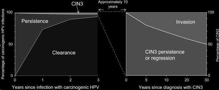 Percentagem de infecções por HPV-AR Percentagem de CIN3 Revendo a história natural do cancro do colo do útero.