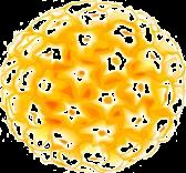 Modelo estrutural das VLP do vírus HPV Proteína L1 (55 57 kd)