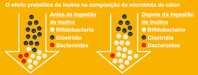 ESTUDOS Existe uma demanda por alimentos de conveniência com benefícios potenciais à saúde do consumidor.