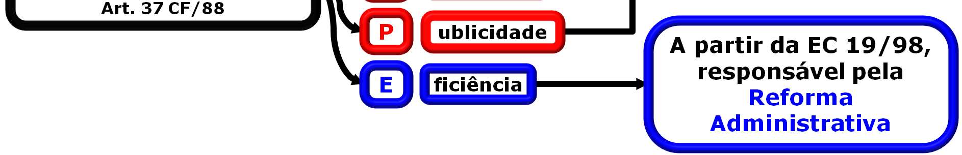 No entanto, referido princípio encontra previsão expressa na Constituição Estadual do Estado de São Paulo e, mais recentemente, na Lei de Processo Administrativo Federal, na qual o princípio pode ser