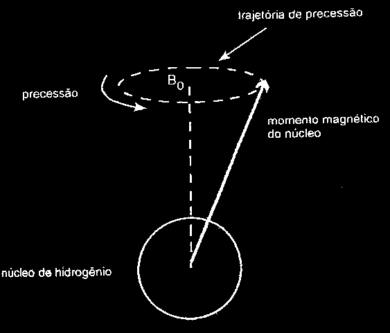 1.2.3 Movimento de precessão e Equação de Larmor Cada núcleo de hidrogénio constitui o vector de magnetização efectiva (VME) que gira sobre o seu eixo.