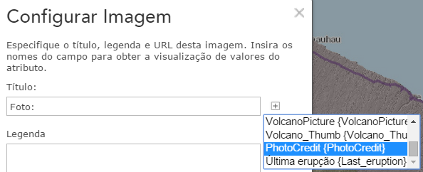 11 12. À direita da caixa Título, clique no botão Adicionar Nome do Campo. Na lista de campos, role a página e escolha PhotoCredit {PhotoCredit}.