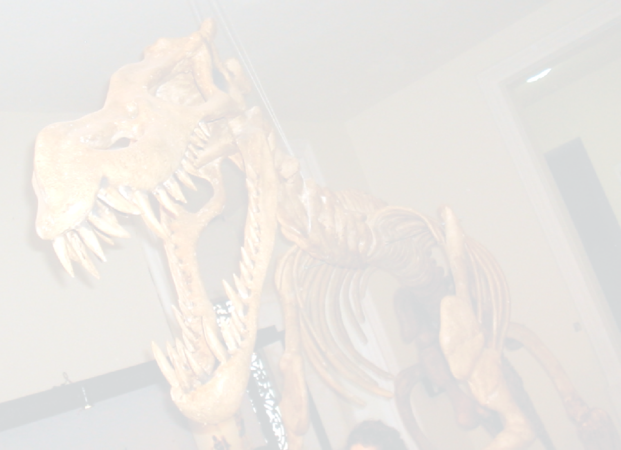 A Exposição A exposição Em Busca dos Dinossauros convida o público a conhecer a aventura e as descobertas das três etapas da Expedição, com destaque para a última etapa, que cruzou o Nordeste até a