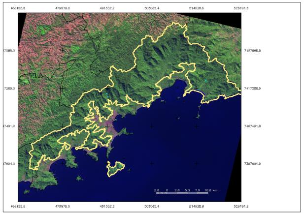 Mata Atlântica Floresta Ombrófila Densa (FOD) Atlântica Veloso et al (1991) IBGE Fitofisionomia Descrição Floresta Ombrófila Aluvial Floresta encontrada às margens dos cursos d água Floresta