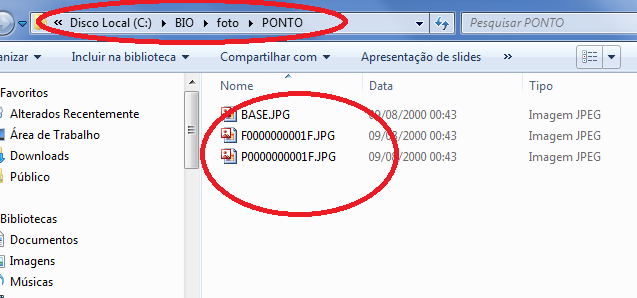 Se algum erro ocorrer neste procedimento, a câmera devera ser reinstalada, e a OCX de captura deverá ser novamente registrada (arquivo ezvidcap.zip) nas pastas de instalação do seu sistema.