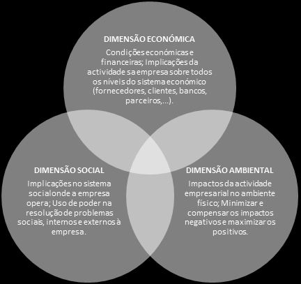 investir no seu futuro e que esperam que o compromisso voluntário que tomam contribua para um aumento da sua rendibilidade (ANUÁRIO DE SUSTENTABILIDADE 2006).