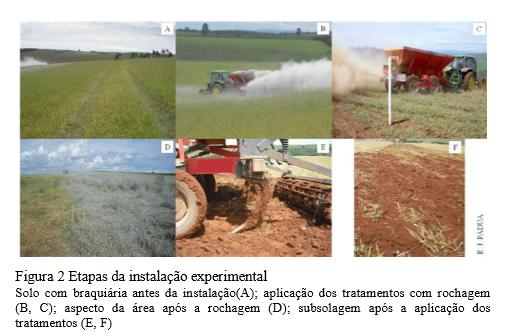 A aplicação dos agrominerais influenciou os atributos químicos do solo