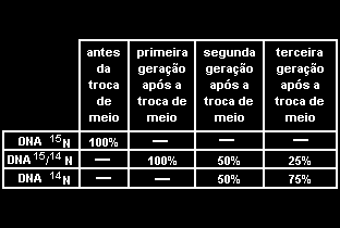 e) o gene que codifica a enzima 3 na linhagem III foi afetado. 13. (Ufrgs 1998) Meselson e Stahl, em 1957, fizeram um experimento sobre a replicação do DNA.