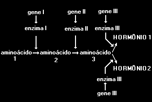 e) os vírus bacteriófagos contêm DNA como material genético, e essa molécula é muito rica em enxofre. 15.