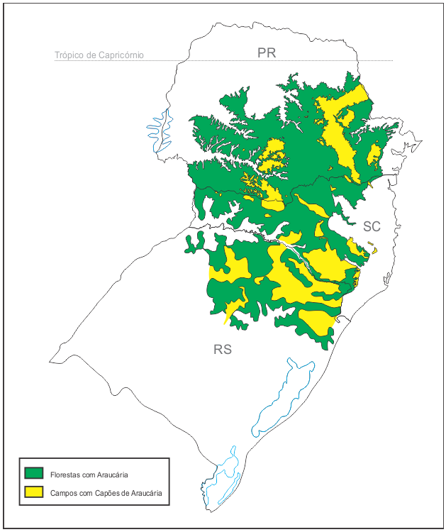 9 Na Figura 1 é apresentado o mapa de distribuição aproximada das regiões da Floresta Ombrófila Mista e da Estepe Gramíneo-lenhosa, compilado para guiar os deslocamentos do
