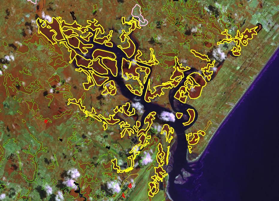 Restingas Área de ocorrência de mangue (delimitado em amarelo) na foz do Rio Vaza Barris, em