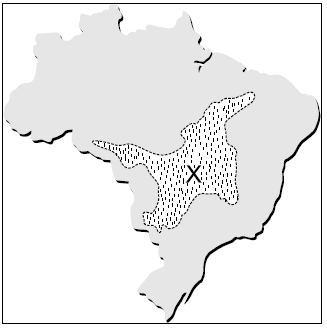 10- A área X indicada no mapa a seguir apresenta, entre outras, as seguintes características: (Governo do Estado de Pernambuco 2006) 1 - predomínio de drenagem endorrêica, sazonal intermitente.
