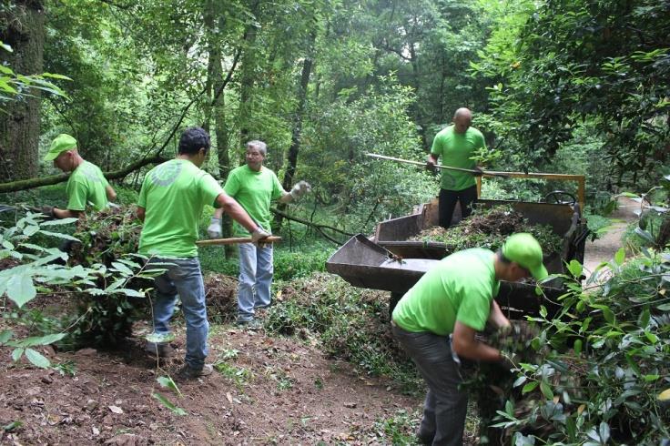 Entrevistas Mata do Bussaco como local de trabalho Espírito de amizade, camaradagem e confiança Igualdade entre reclusos e