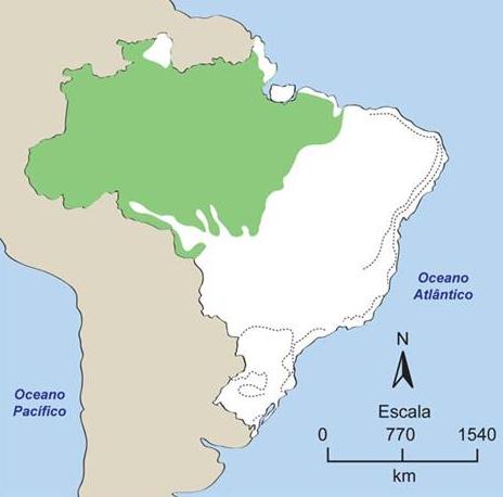 A distribuição dos biomas no Brasil Encontramos, em toda a extensão do Brasil, seis grandes biomas: Floreta Amazônica Floresta Atlântica Cerrado Caatinga Pampas Pantanal E outras três