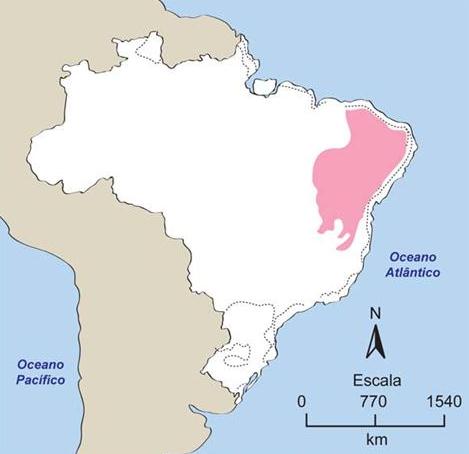 Hoje resta muito pouco da mata nativa (apenas 8% do total), estando praticamente extinta em várias regiões do país.