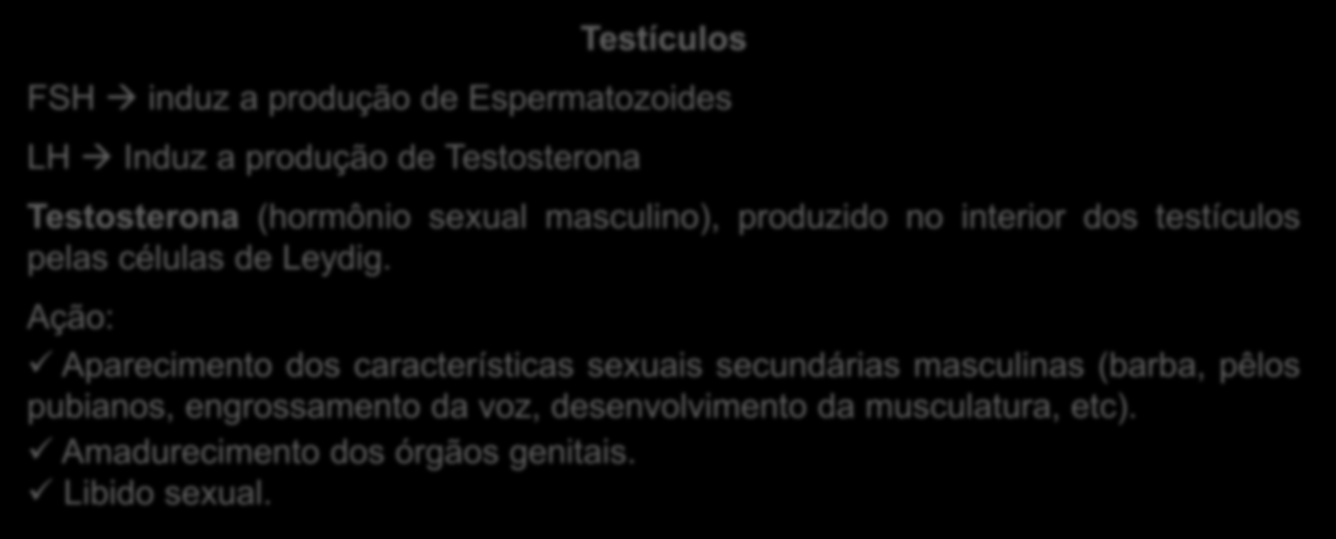 Sistema Endócrino 2) Principais glândulas endócrinas humanas VII) Gônadas (Testículos e Ovários) a) Testículos (homem): Localizados no interior da bolsa escrotal o Sofre influência dos hormônios FSH
