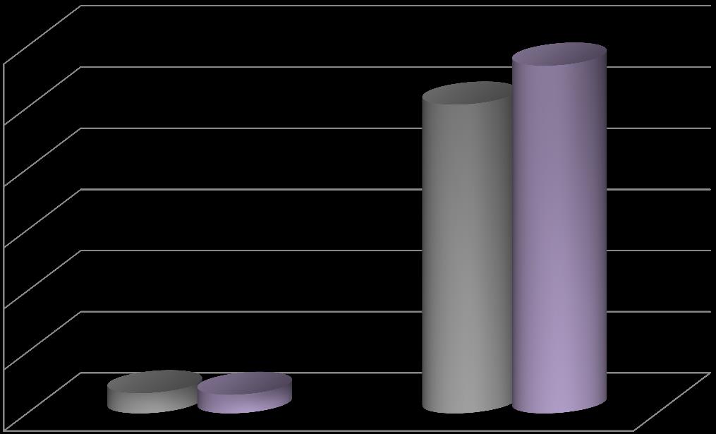 NÚMERO DE REGISTROS INDICADORES PRÁTICA ASSISTENCIAL -CORTESIA NO