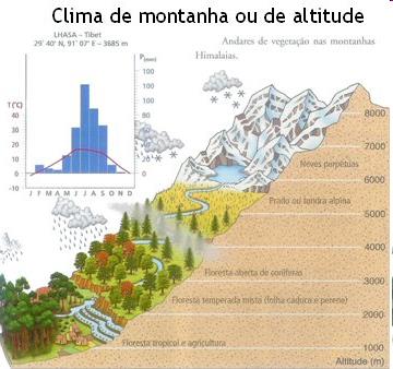 RESUMO