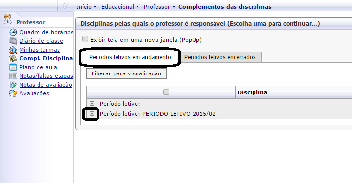 Digitação do Plano de Aula Para visualização do Plano de Ensino utilizar o menu Compl.