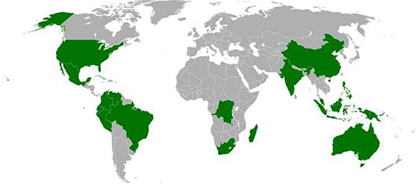 FLORESTA TROPICAL Compreende as regiões próximas à linha do Equador.