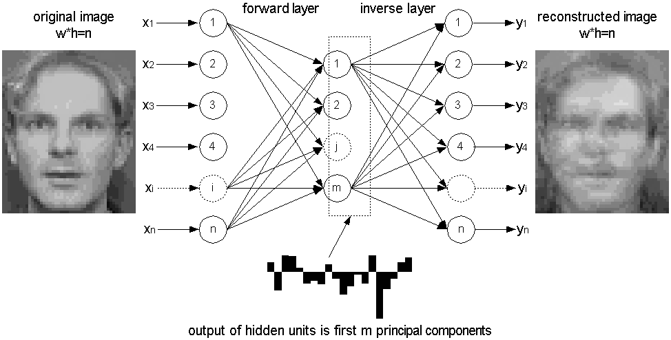 RevisãoBibliográfica D.BryliukandV.Starovoitov.ApplicationofRecirculation NeuralNetworkandPrincipalComponentAnalysisforFace Recognition.